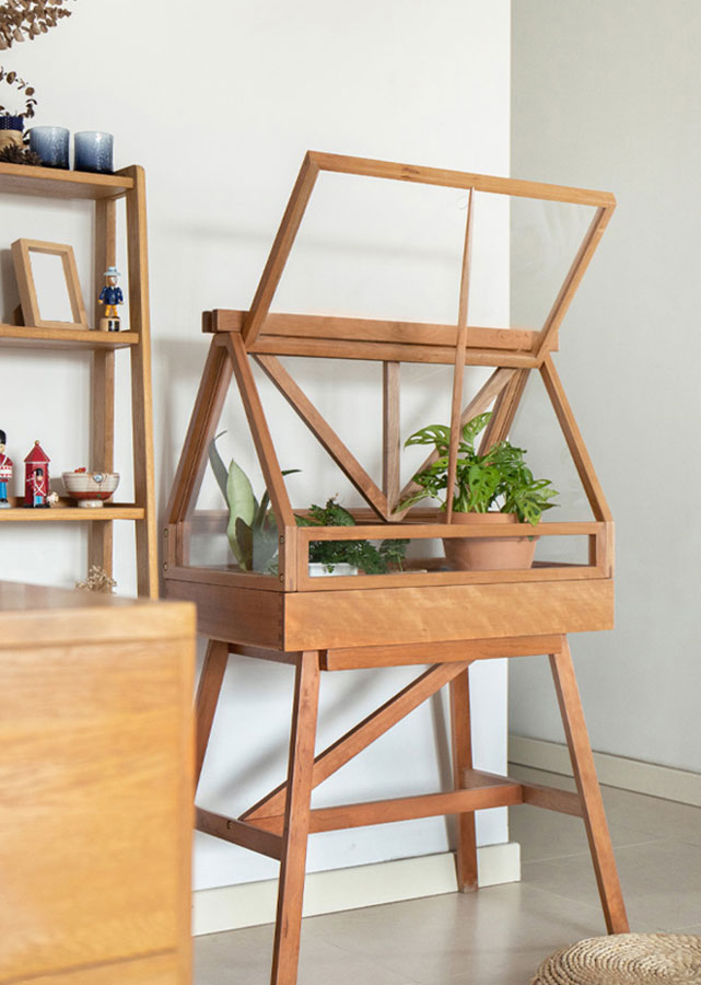 Verdan Display Case
