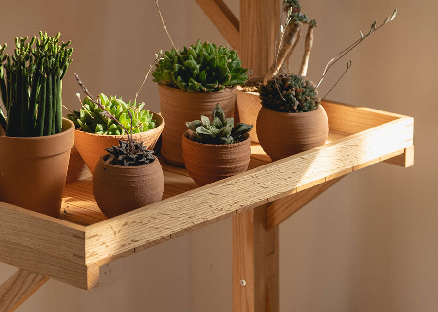 Floro Rolling Plant Rack