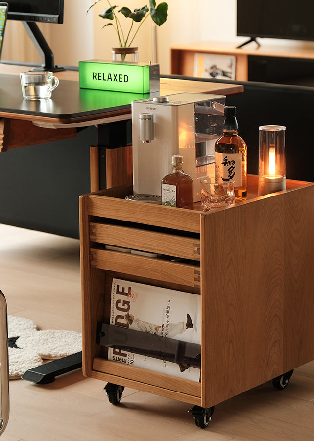 Trolef Storage Unit