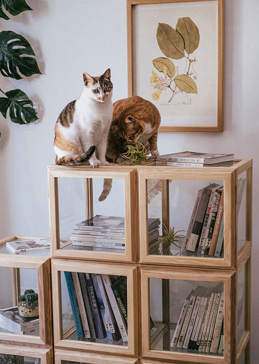 Mero Display  