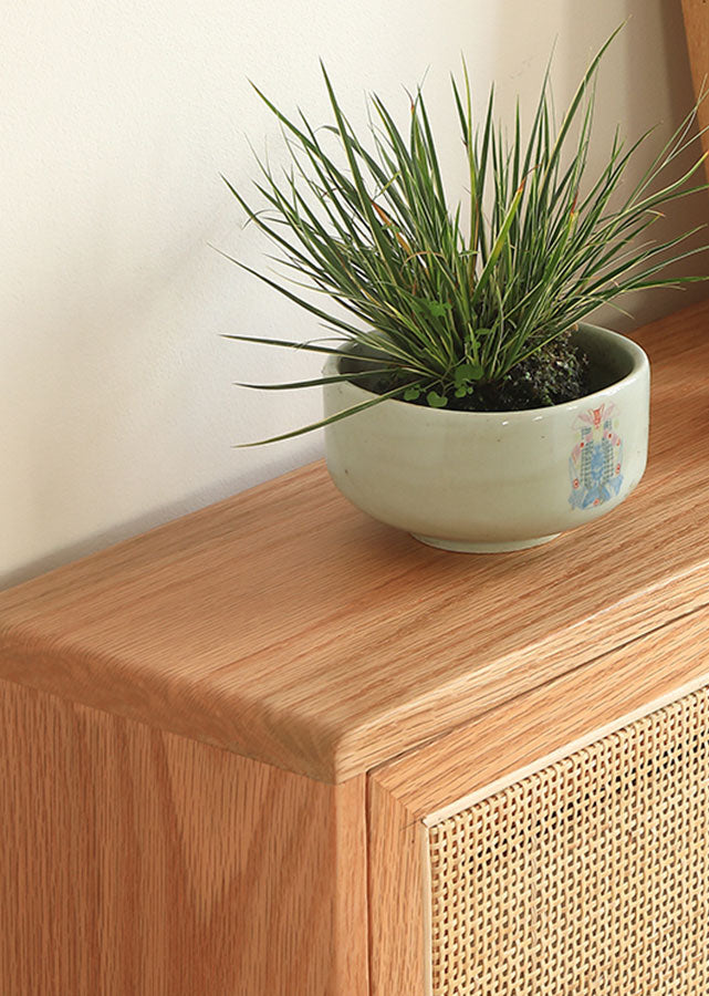 Slimline Shoe Cabinet  