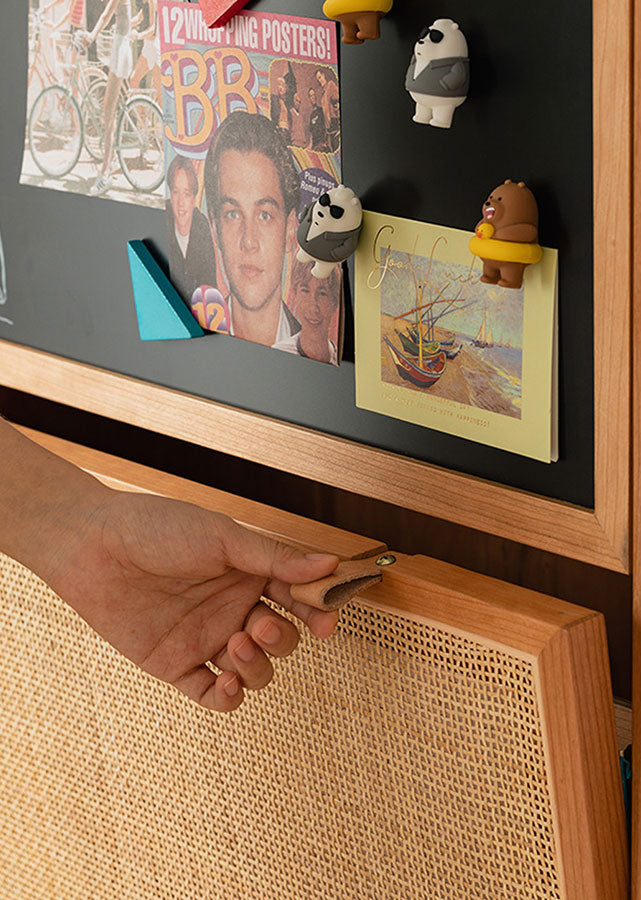 Asto Solid Wood Ultra Thin Shoe Cabinet