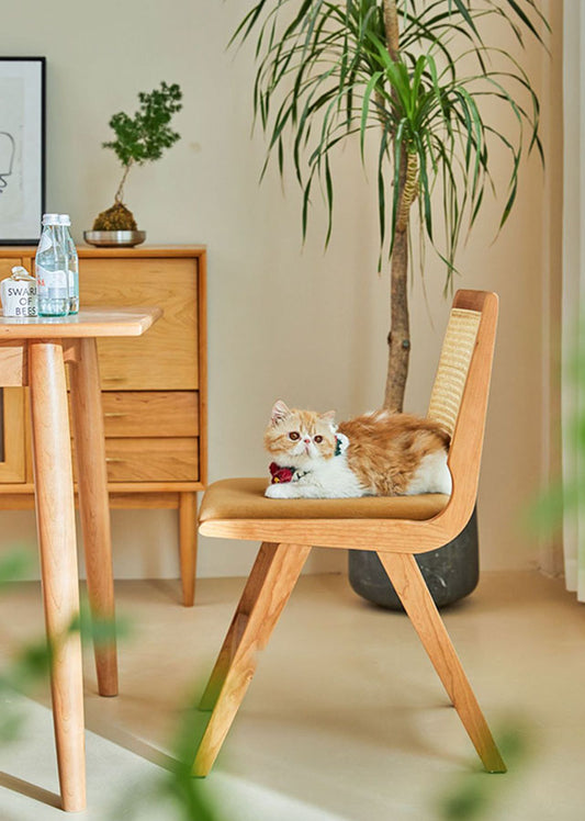 Charlie Solid Wood Chair with Cushion